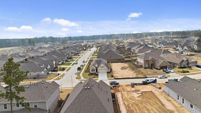 18078 Brennie Bird Lane, Conroe, TX 77302