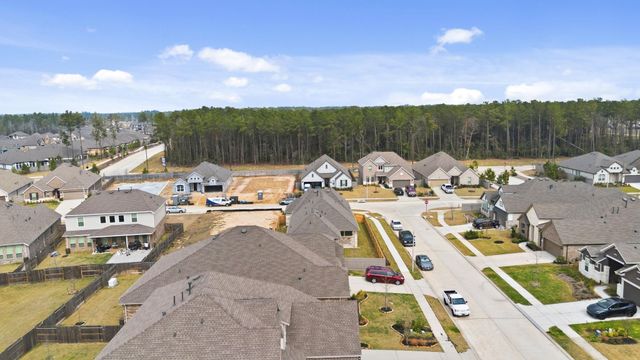 18078 Brennie Bird Lane, Conroe, TX 77302