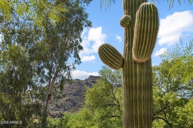 36402 N Derringer Place, Carefree, AZ 85377