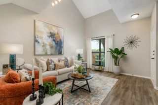 8404 Forest Lane 203, Dallas, TX 75243