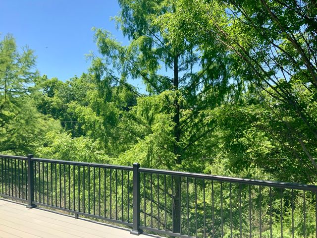 10156 Lapalco Court, Union, KY 41091