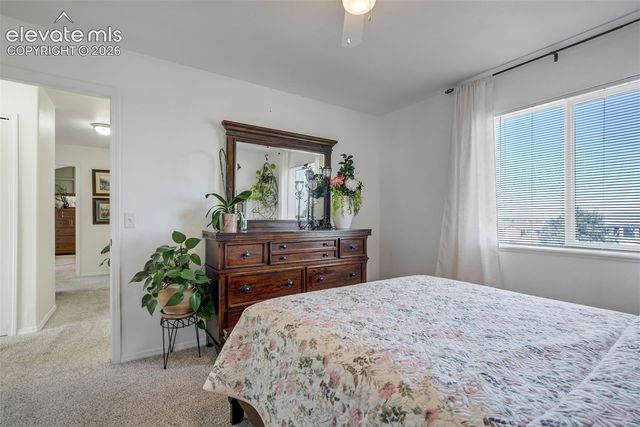 10065 Litchfield Street, Peyton, CO 80831