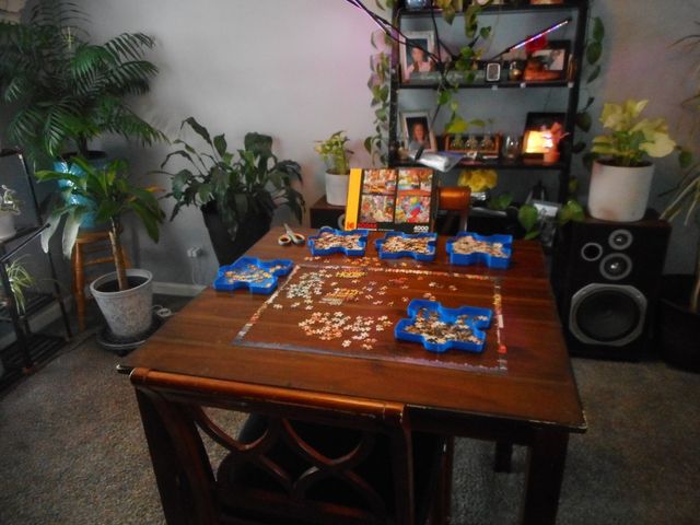 576 Iroquois Trail, Carol Stream, IL 60188