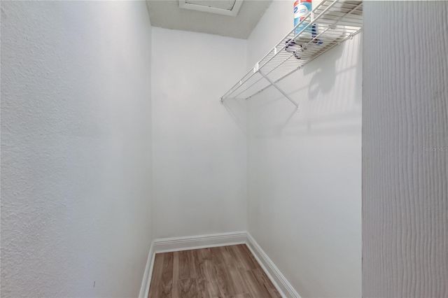 5023 TERRACE PALMS CIRCLE 201, Tampa, FL 33617