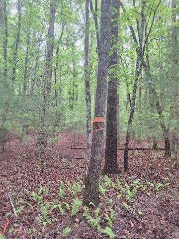 Lot 14 Noontootla Ridge Court, Blue Ridge, GA 30513