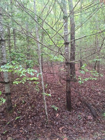Lot 14 Noontootla Ridge Court, Blue Ridge, GA 30513
