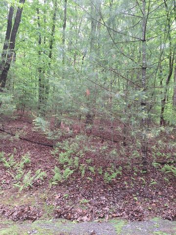 Lot 14 Noontootla Ridge Court, Blue Ridge, GA 30513