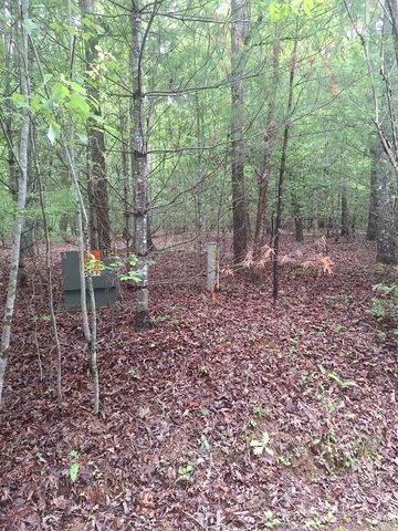 Lot 14 Noontootla Ridge Court, Blue Ridge, GA 30513