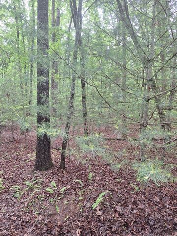 Lot 14 Noontootla Ridge Court, Blue Ridge, GA 30513