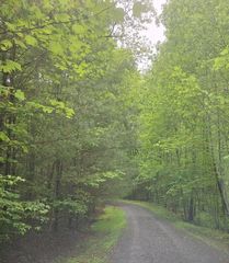 Lot 14 Noontootla Ridge Court, Blue Ridge, GA 30513