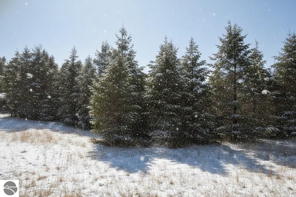 Image 13 of property listing at 10.25 N 2 1/2 Road, Buckley, MI 49620