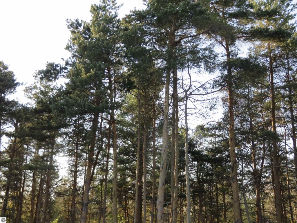 Image 17 of property listing at 10.25 N 2 1/2 Road, Buckley, MI 49620