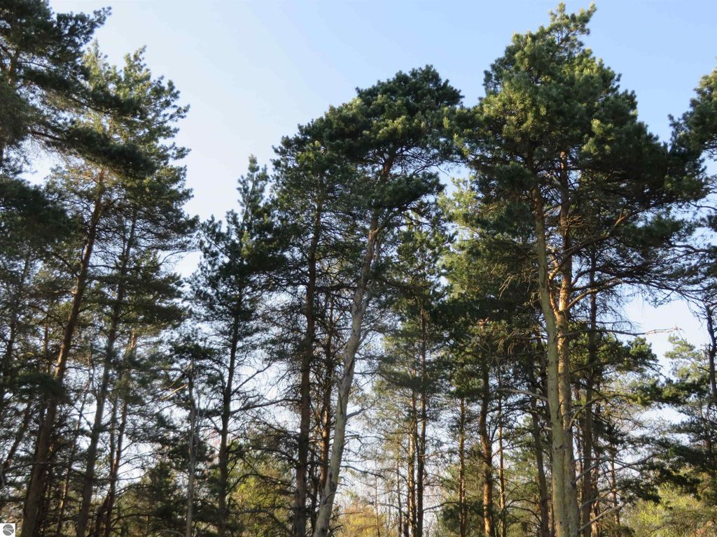 Image 18 of property listing at 10.25 N 2 1/2 Road, Buckley, MI 49620