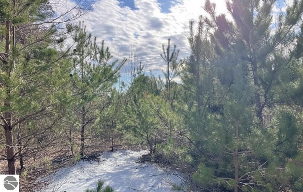 Image 2 of property listing at 10.25 N 2 1/2 Road, Buckley, MI 49620