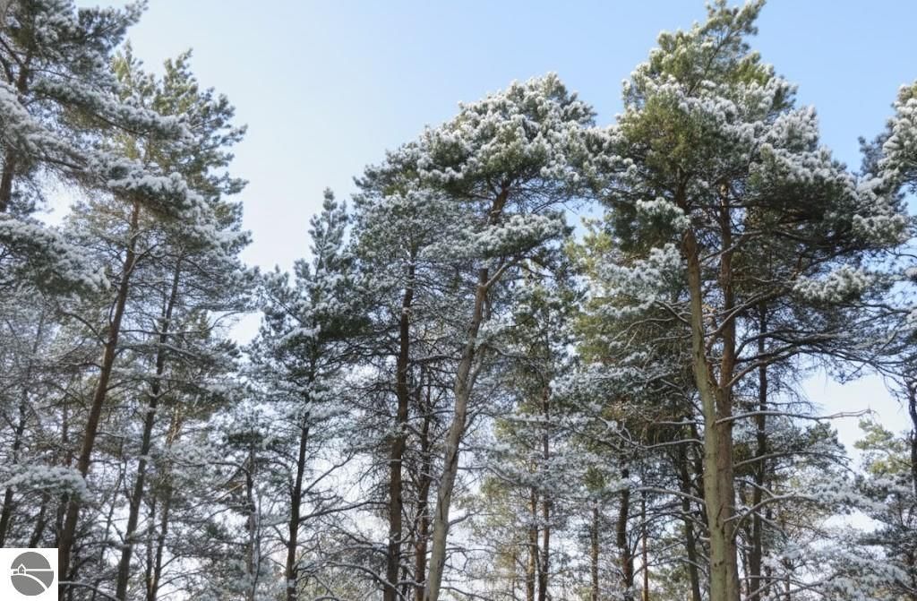 Image 20 of property listing at 10.25 N 2 1/2 Road, Buckley, MI 49620