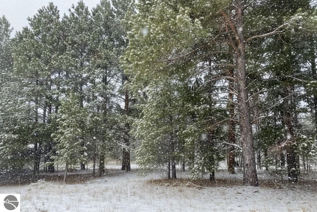 Image 21 of property listing at 10.25 N 2 1/2 Road, Buckley, MI 49620