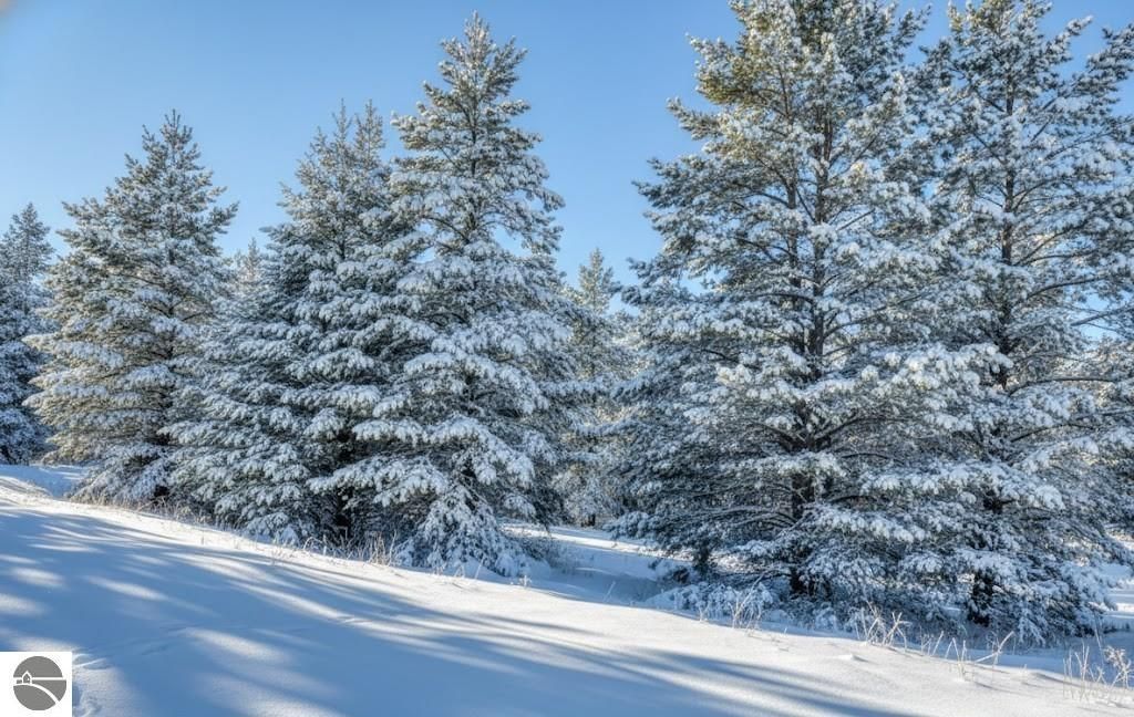 Image 22 of property listing at 10.25 N 2 1/2 Road, Buckley, MI 49620