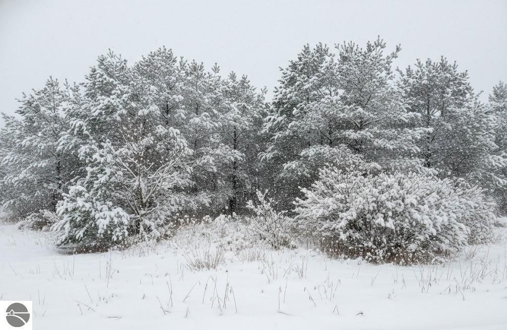 Image 25 of property listing at 10.25 N 2 1/2 Road, Buckley, MI 49620