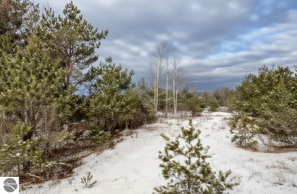 Image 3 of property listing at 10.25 N 2 1/2 Road, Buckley, MI 49620