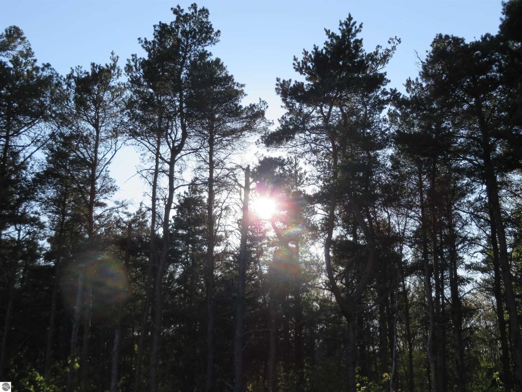 Image 31 of property listing at 10.25 N 2 1/2 Road, Buckley, MI 49620