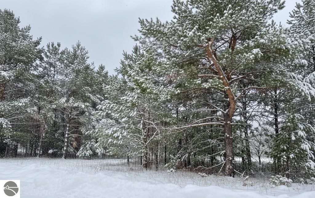 Image 4 of property listing at 10.25 N 2 1/2 Road, Buckley, MI 49620