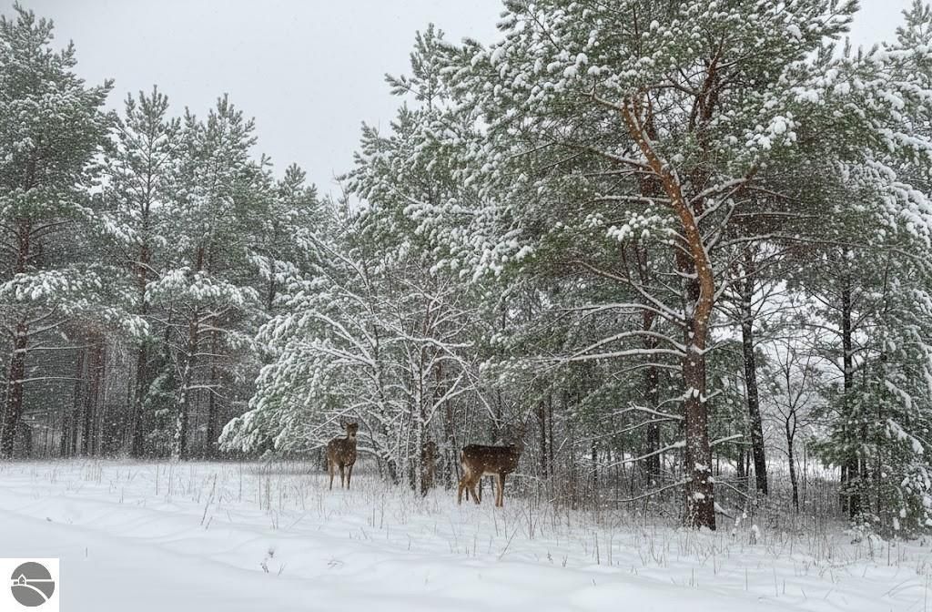 Image 8 of property listing at 10.25 N 2 1/2 Road, Buckley, MI 49620