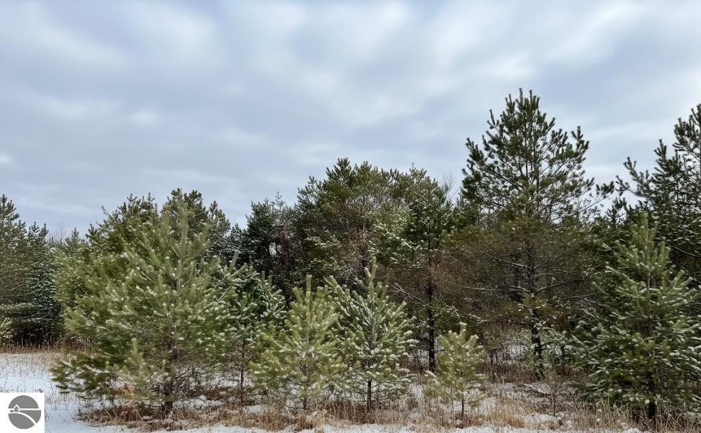 Image 9 of property listing at 10.25 N 2 1/2 Road, Buckley, MI 49620