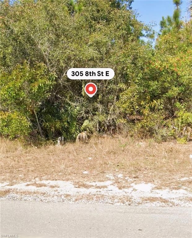 305 E 8th ST, LEHIGH ACRES, FL 33972 — photo 3