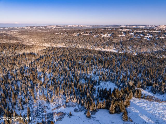 NKA E Shelton Avenue, Homer, AK 99603