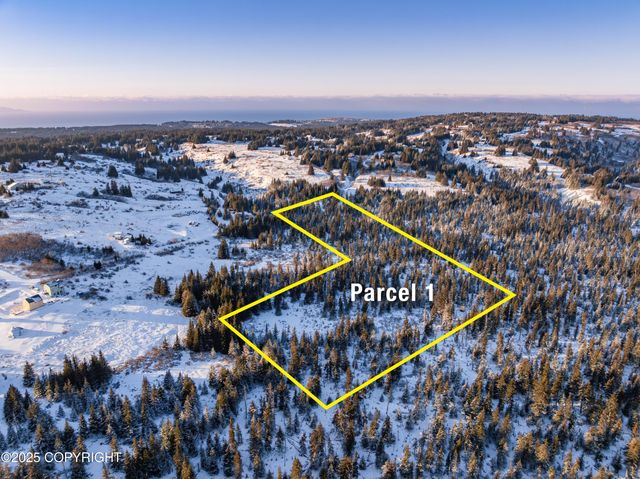 NKA E Shelton Avenue, Homer, AK 99603
