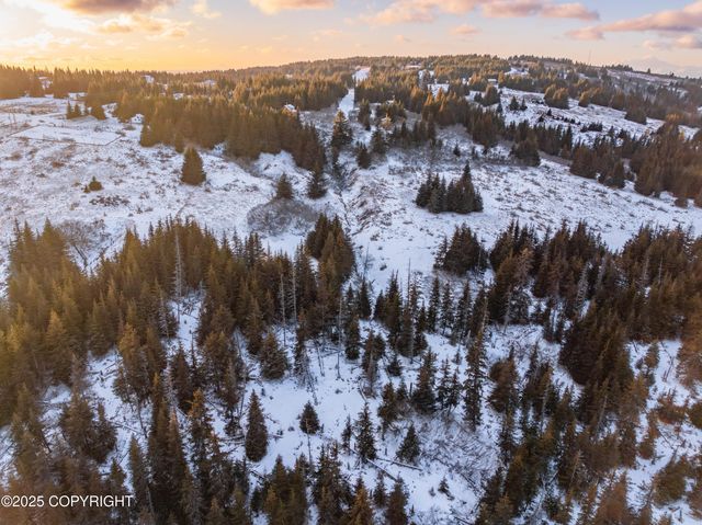 NKA E Shelton Avenue, Homer, AK 99603