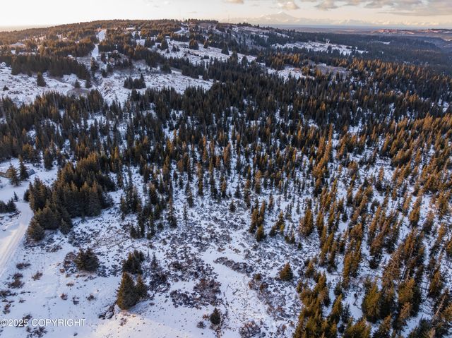 NKA E Shelton Avenue, Homer, AK 99603