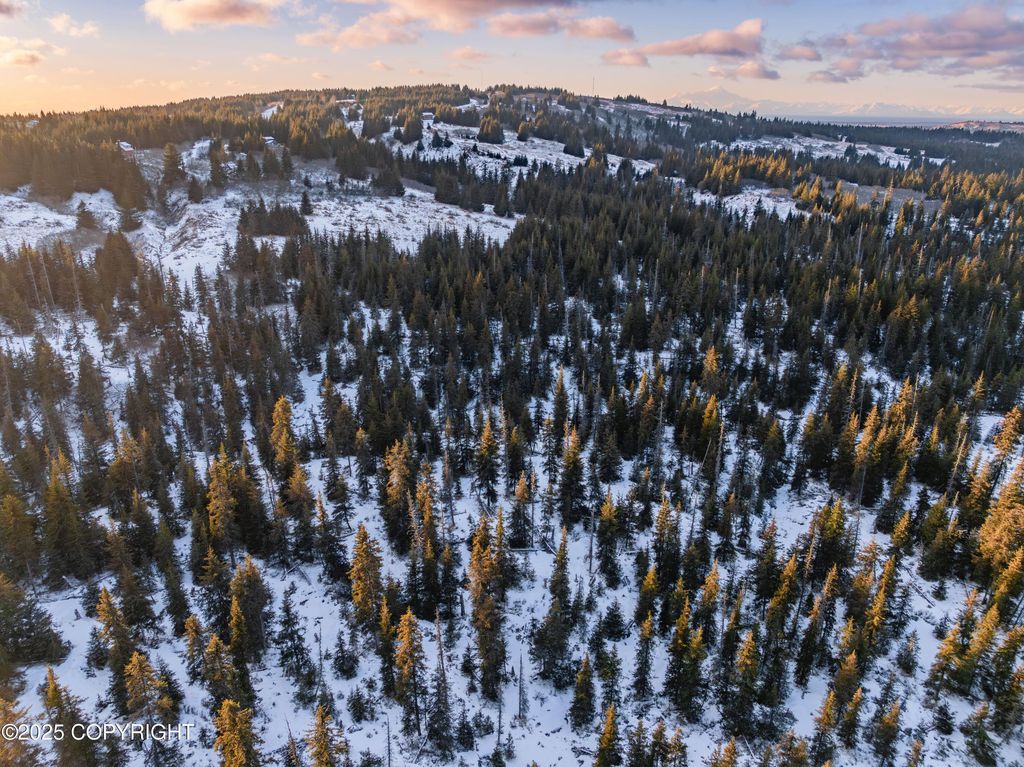 NKA E Shelton Avenue, Homer, AK 99603