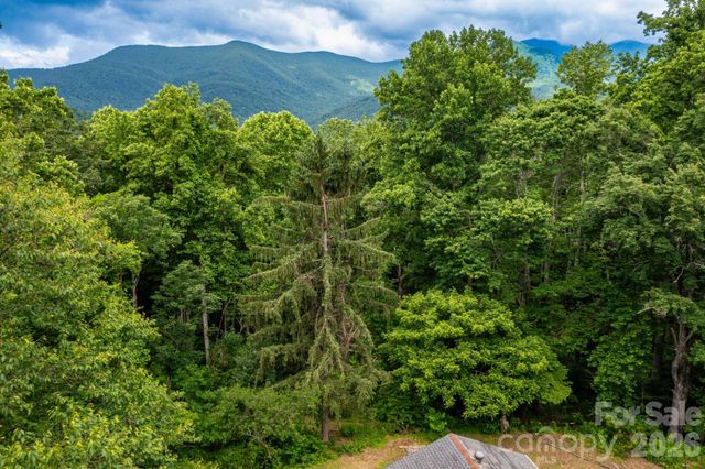 191 Walkertown Road, Black Mountain, NC 28711