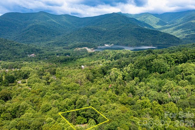 191 Walkertown Road, Black Mountain, NC 28711