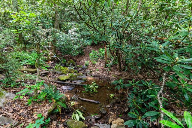191 Walkertown Road, Black Mountain, NC 28711