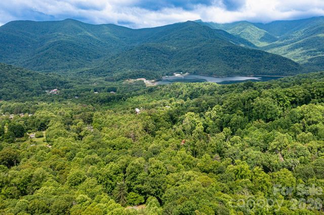191 Walkertown Road, Black Mountain, NC 28711