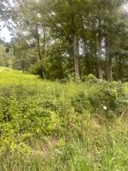 4300 Dale Williamson Road, Union, KY 41091