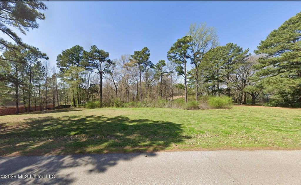 945 Green T Lk W, Hernando, MS 38632 — photo 2