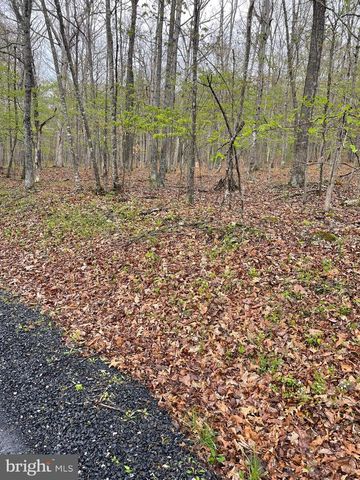 462 TROUT STREAM RD, Lost City, WV 26810
