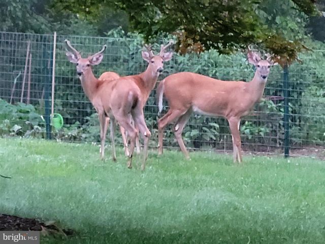 211 WALNUT LEVEL RD, New Cumberland, PA 17070