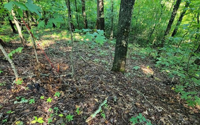 154-5 Dogwood Circle, Hayesville, NC 28904