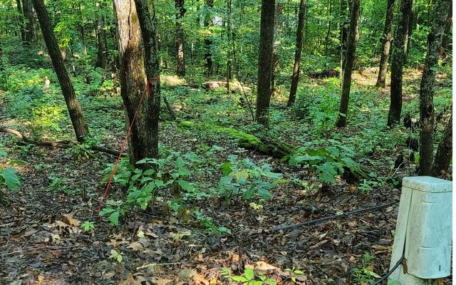 154-5 Dogwood Circle, Hayesville, NC 28904