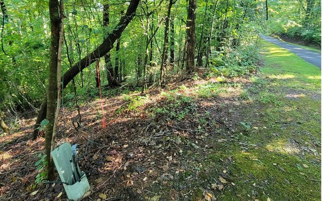 154-5 Dogwood Circle, Hayesville, NC 28904