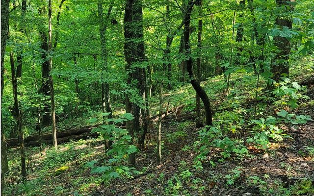 154-5 Dogwood Circle, Hayesville, NC 28904