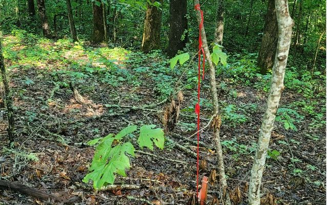 154-5 Dogwood Circle, Hayesville, NC 28904