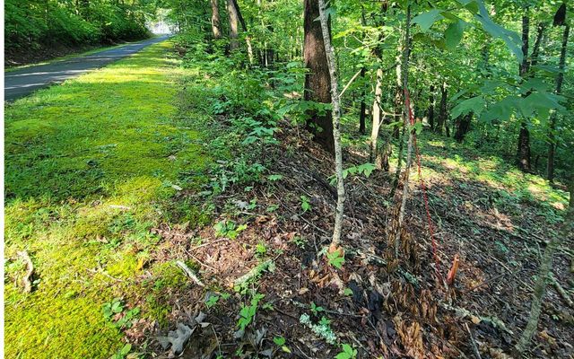 154-5 Dogwood Circle, Hayesville, NC 28904