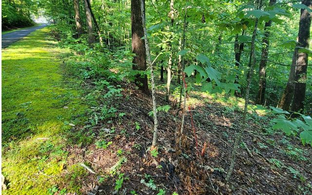 154-5 Dogwood Circle, Hayesville, NC 28904