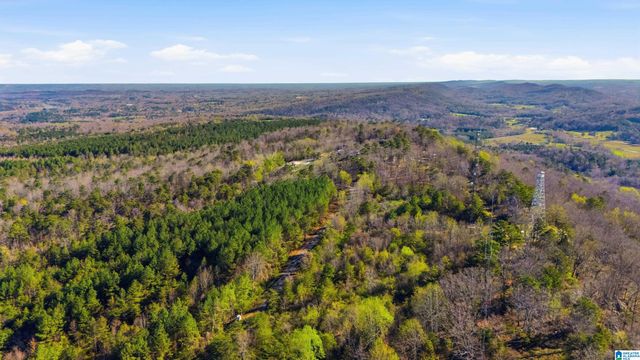 3710 EBELL ROAD, Oneonta, AL 35121