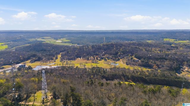 3710 EBELL ROAD, Oneonta, AL 35121